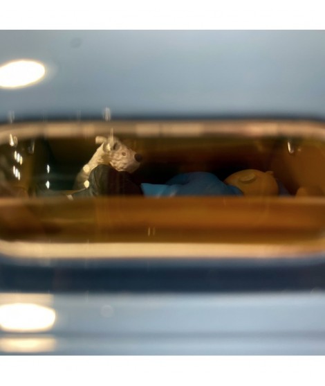 LA MORRIS SIX - Imagen 2